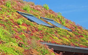 Cold Higham living roof systems