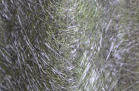 Cold Higham fibreglass roof work